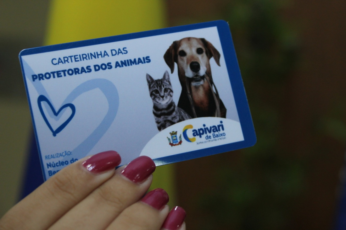 Departamento do Bem-Estar Animal de Capivari de Baixo faz 1ª reunião