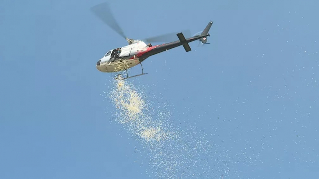 É hoje: Helicóptero fará chuva de pétalas de rosas sobre Tubarão 