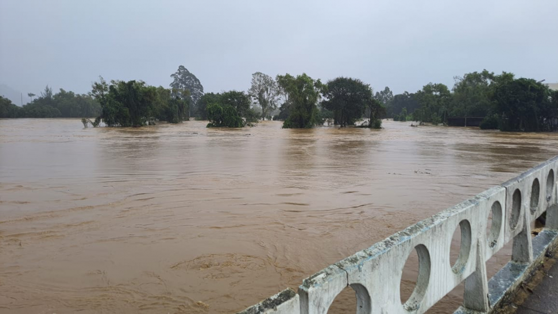 Tubarão: Estimativa de prejuízo devido às chuvas no setor agropecuário é de cerca de R$ 30 milhões