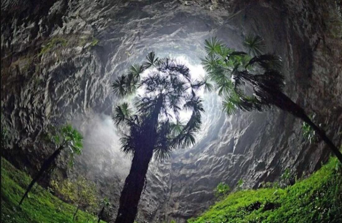 Internacional: buraco gigante na China revela enorme floresta antiga