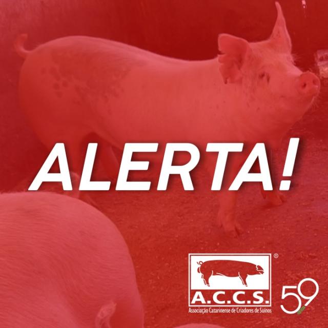 Peste suína africana deixa Associação Catarinense de Criadores em estado de alerta #Suinocultura