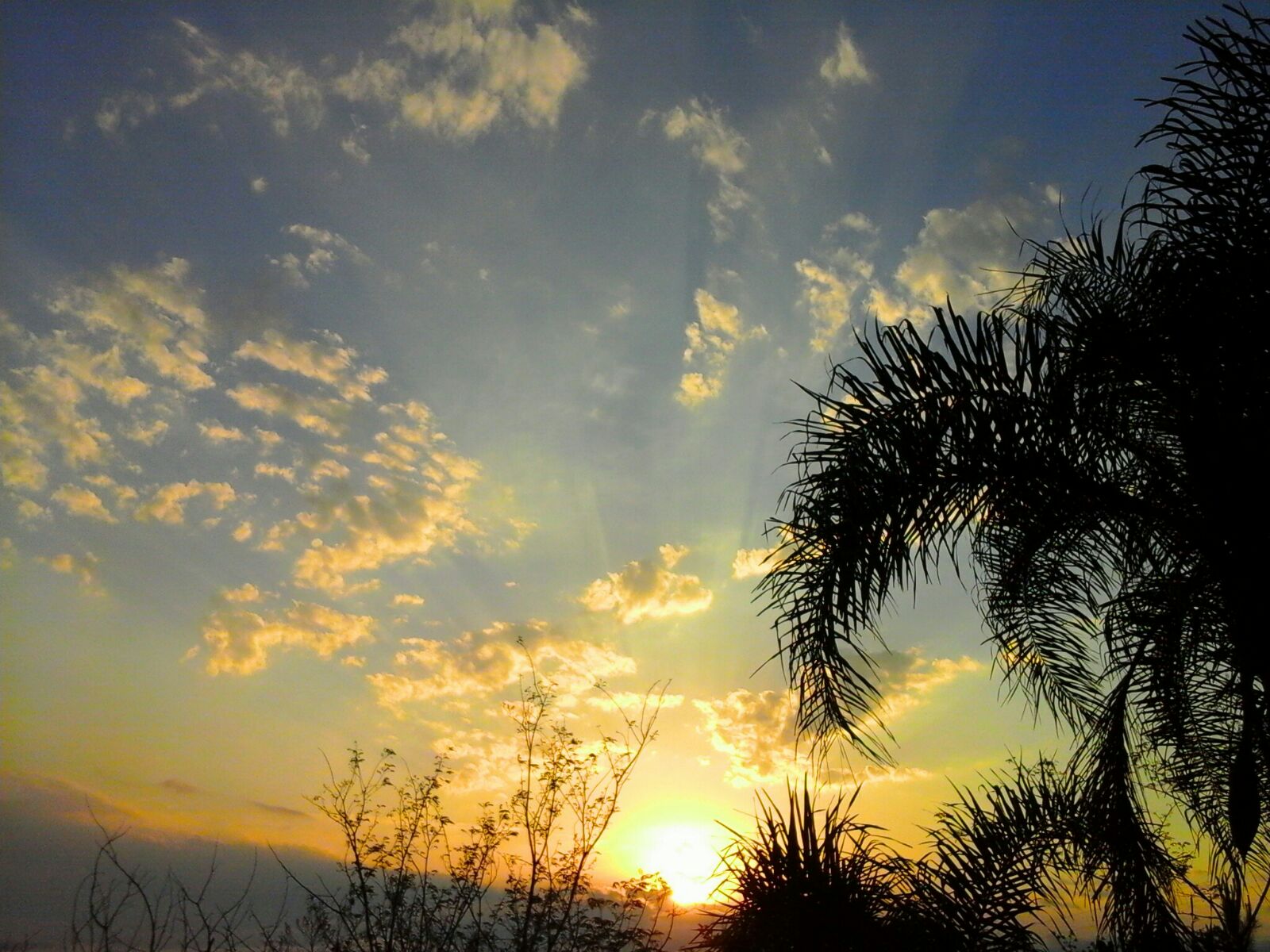 Quinta-feira de sol, mas chuva pode voltar na região #Tempo
