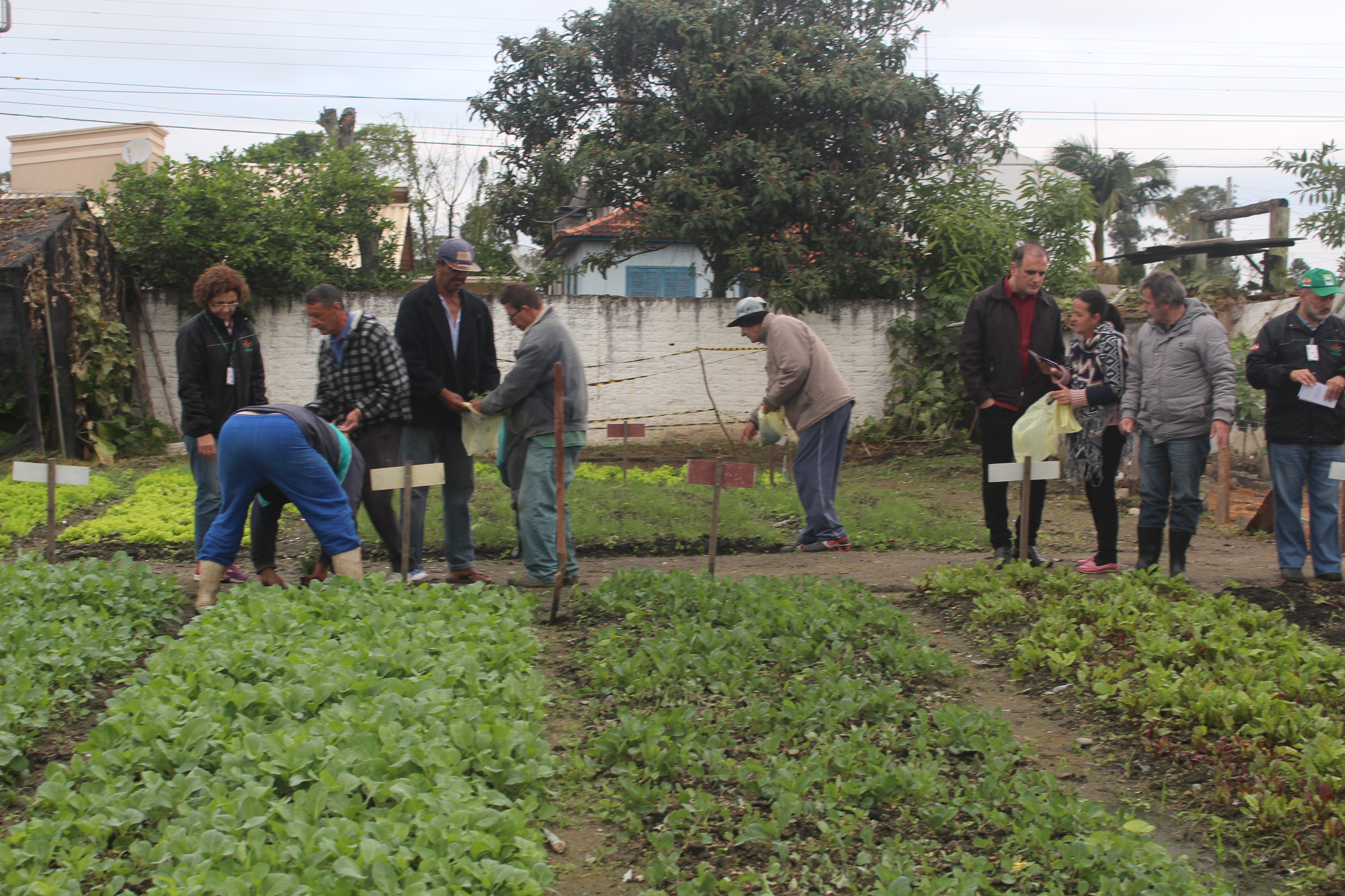 Prazo para declaração do Imposto Rural termina dia 28 de setembro