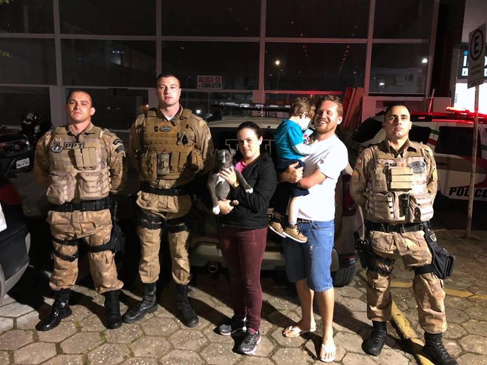 No estado: Pitbull furtada é recuperada pela PM durante prisão de traficante