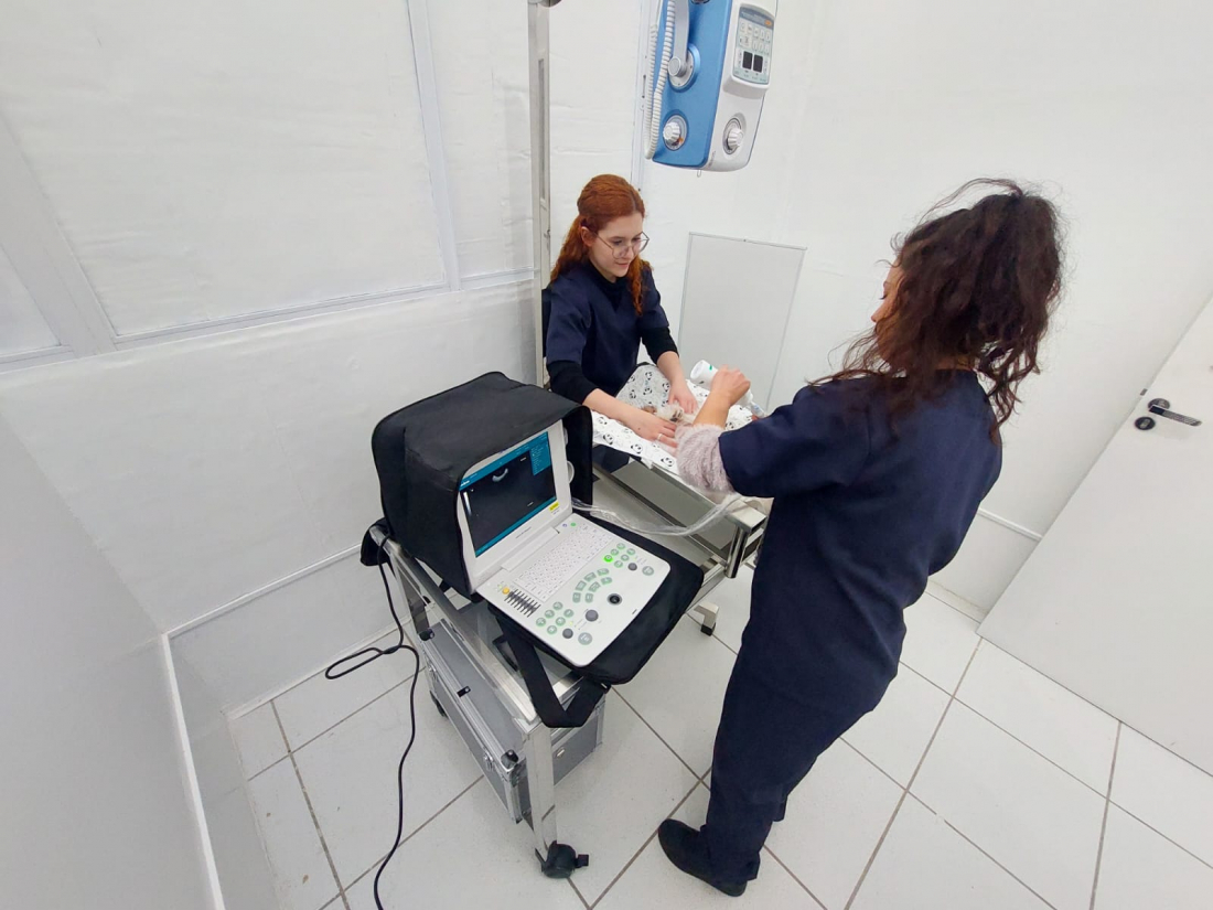 Hospital Veterinário HVF Univinte inaugura Laboratório de Análises Clínicas com atendimento 24h em Capivari de Baixo