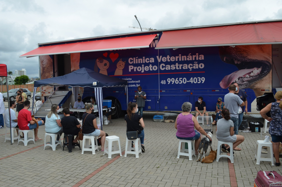 Mutirão de castração de cães e gatos beneficia centenas de pets neste final de semana