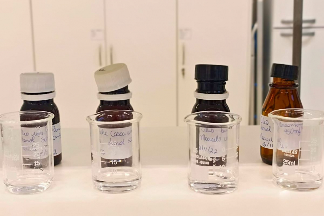 Pesquisa catarinense inédita no Brasil identifica efeito de óleos naturais contra mosquito da dengue