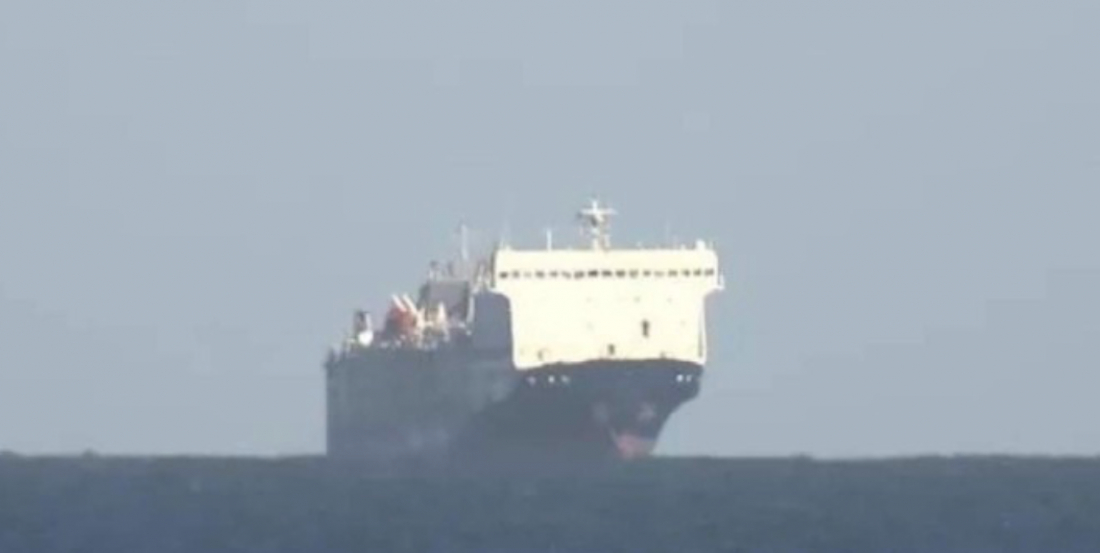 Navio com 16 mil animais é abandonado na costa da Austrália após ameaça de ataque Houthi