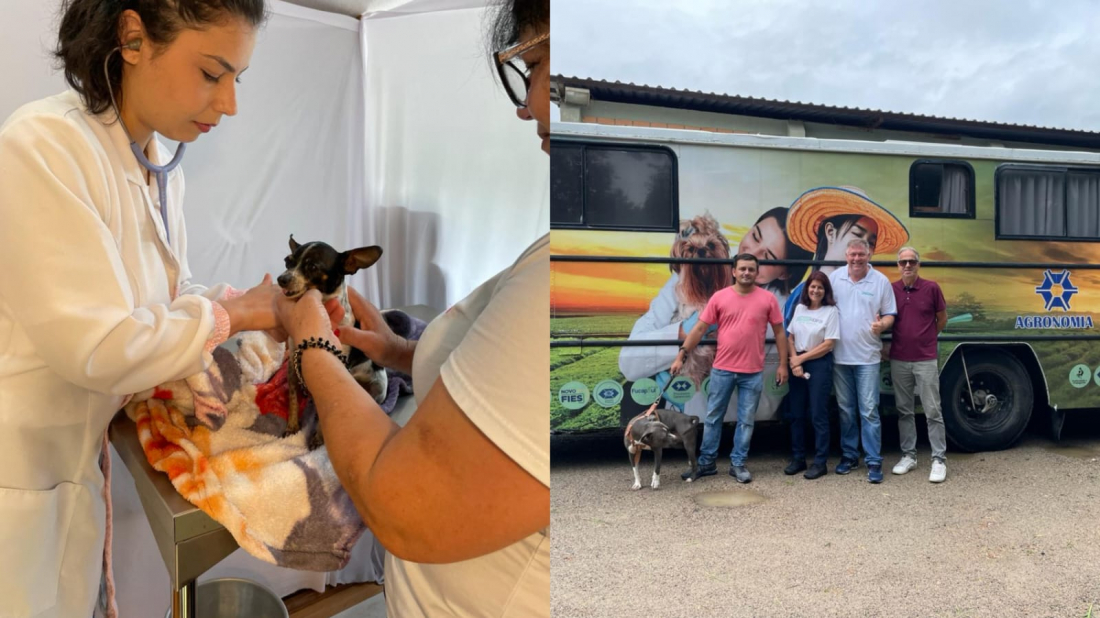 Ação social em prol dos animais oferece consultas veterinárias no bairro Santo André