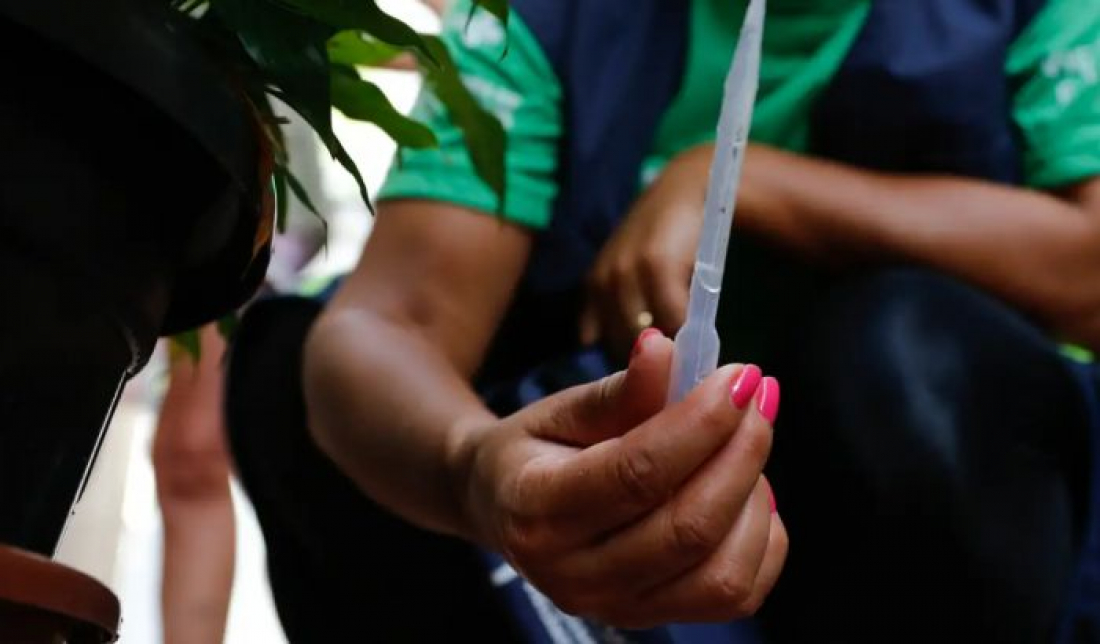 Distribuição da vacina contra a dengue começa na próxima semana