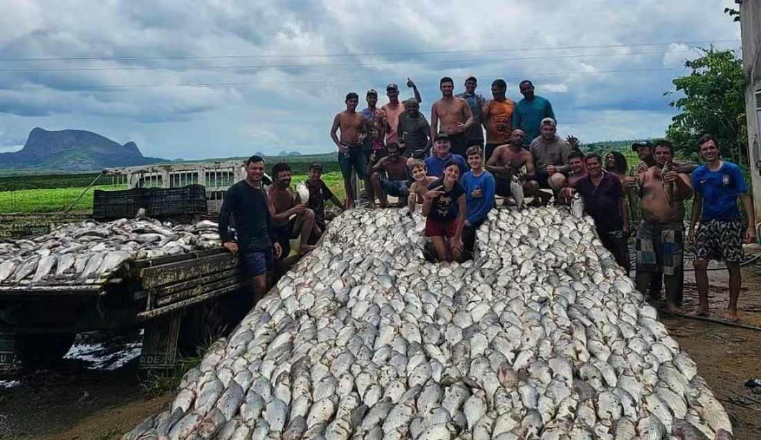 Brasil: represa é esvaziada e toneladas de peixes são doadas no ES