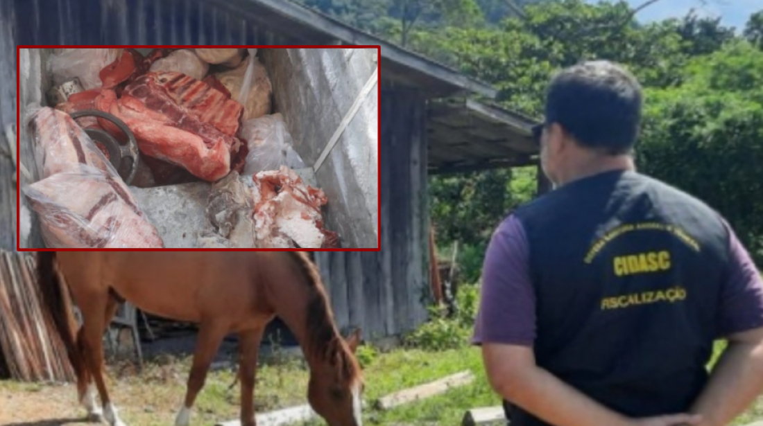 Cidasc e Polícia Civil apreendem carne bovina imprópria para consumo na Amurel
