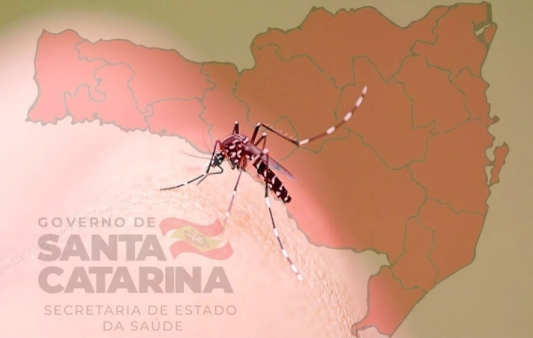 Santa Catarina decreta situação de emergência por causa da dengue