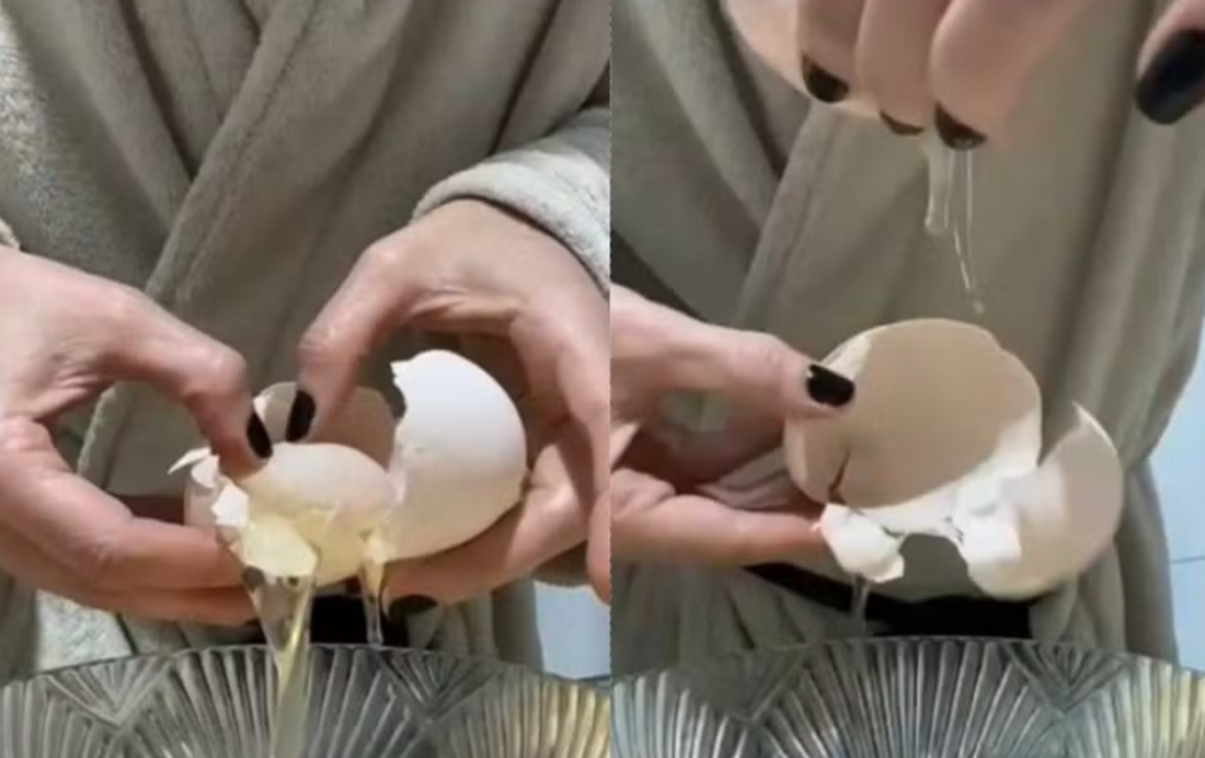 Galinha bota ovo 'gigante' com outro inteiro dentro e surpreende criadores em SC