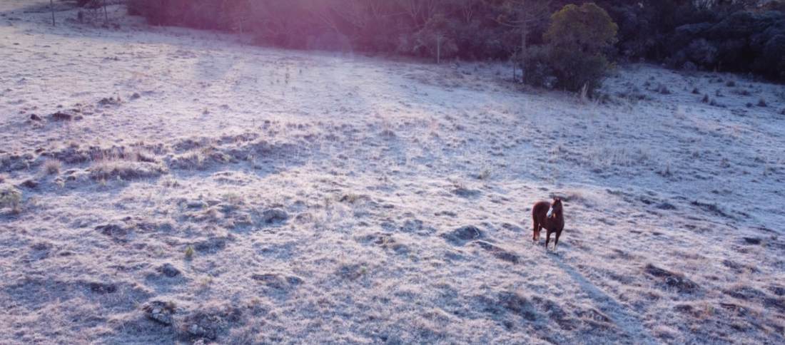 Santa Catarina se prepara para inverno mais frio em 2024