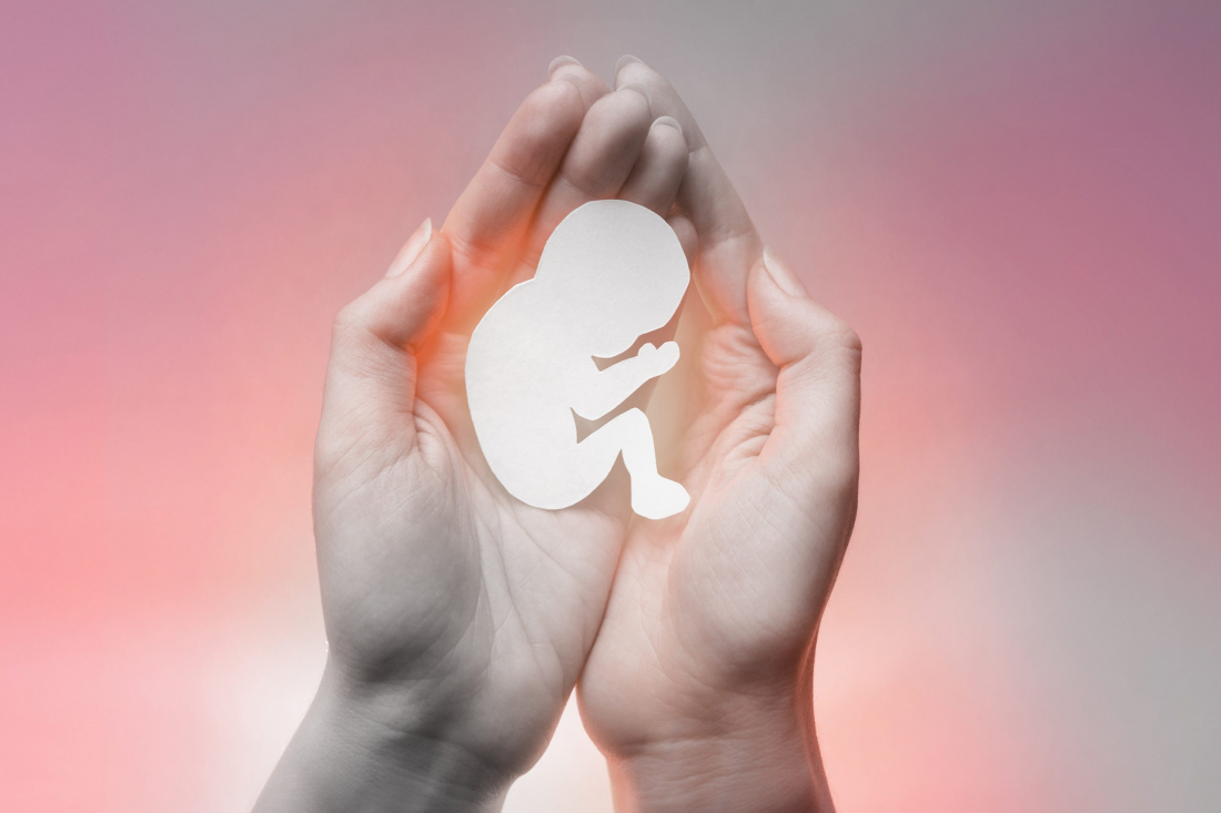 Governo Lula volta atrás e mantém nota técnica do aborto; entenda