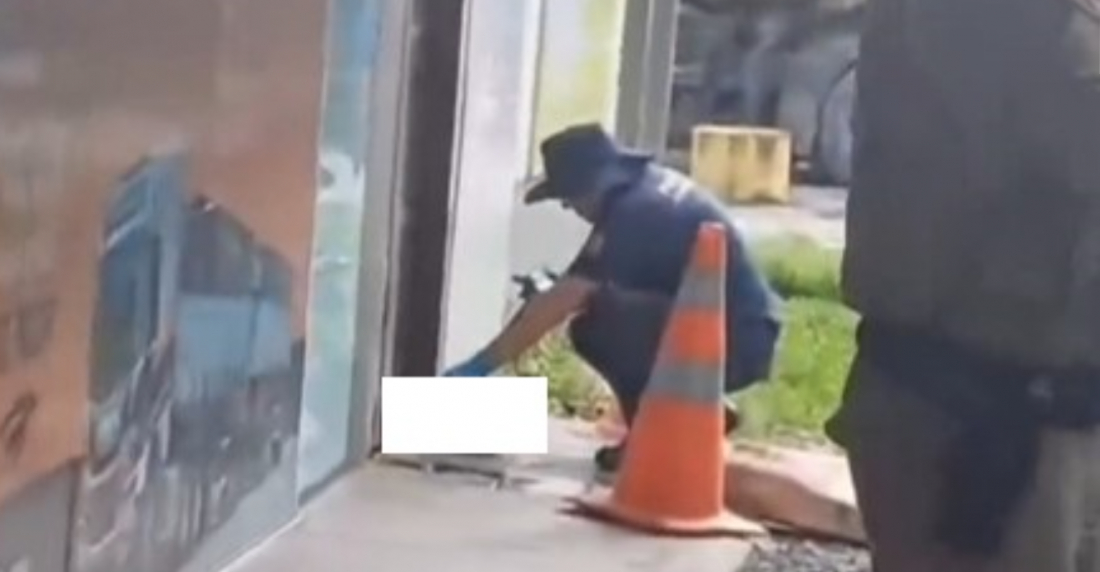 Cabeça humana encontrada em Araquari foi trazida por cachorro