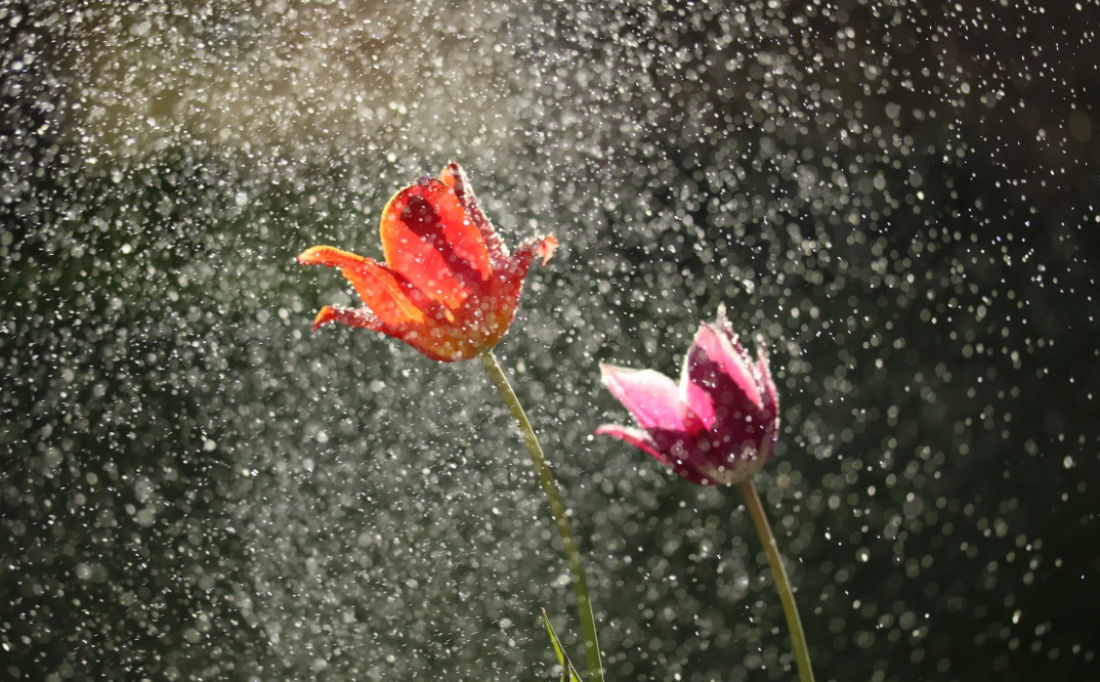 Frente fria perde força e sol deve voltar a aparecer em SC