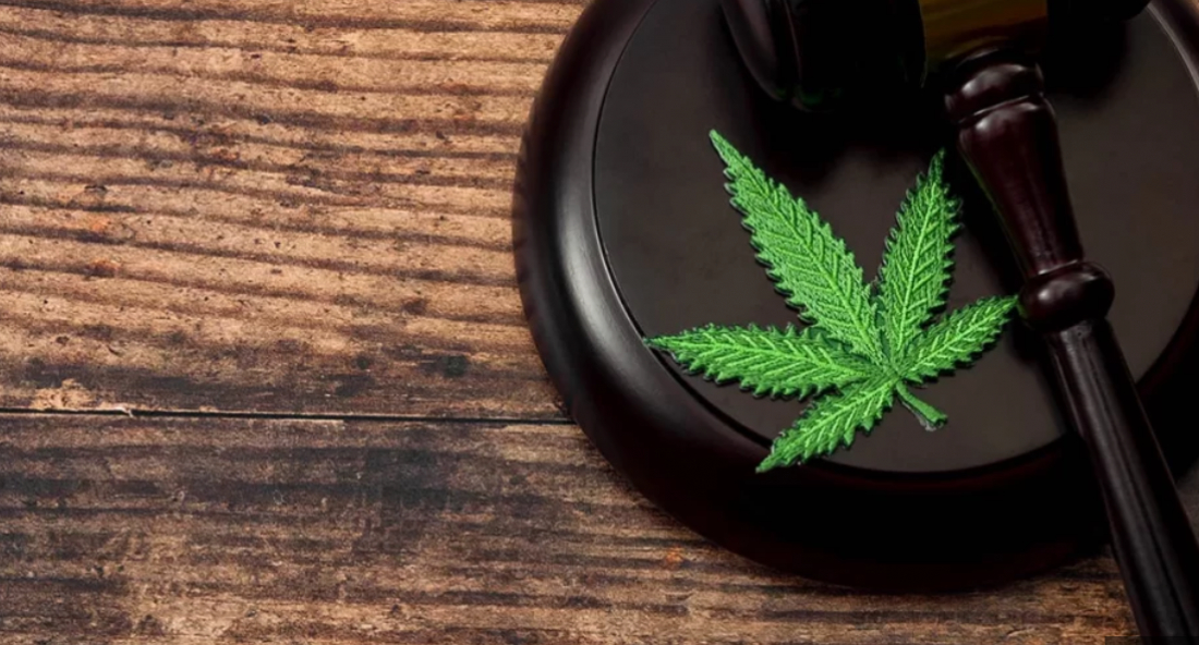 STF retoma julgamento sobre porte de drogas; veja votos dos ministros até agora