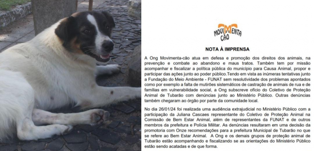 ONG Movimenta-cão registra denúncia contra a FUNAT no Ministério Público por falta de ações para o bem-estar animal