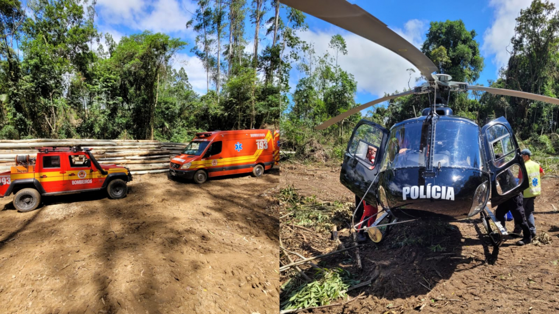 Homem fica ferido após queda de árvore em Braço do Norte
