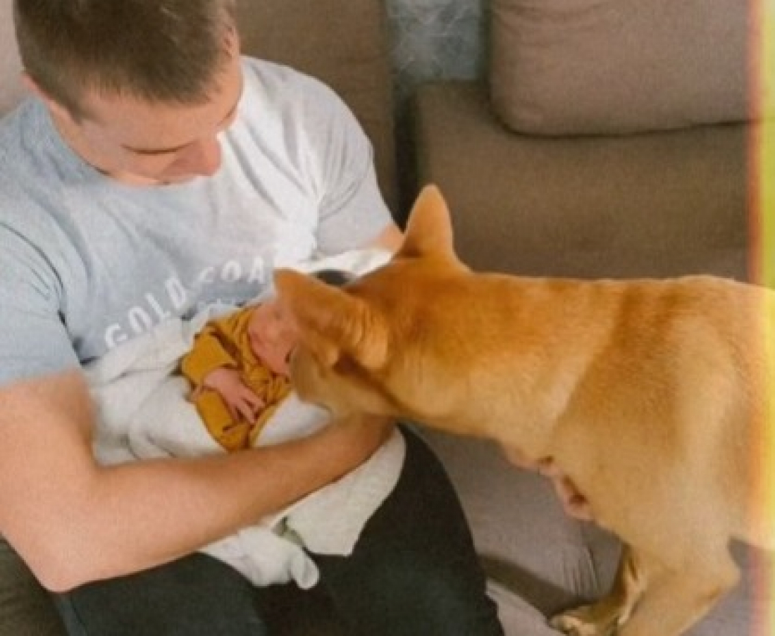 Vídeo mostra o antes e depois da relação entre um cachorrinho e o bebê recém-nascido