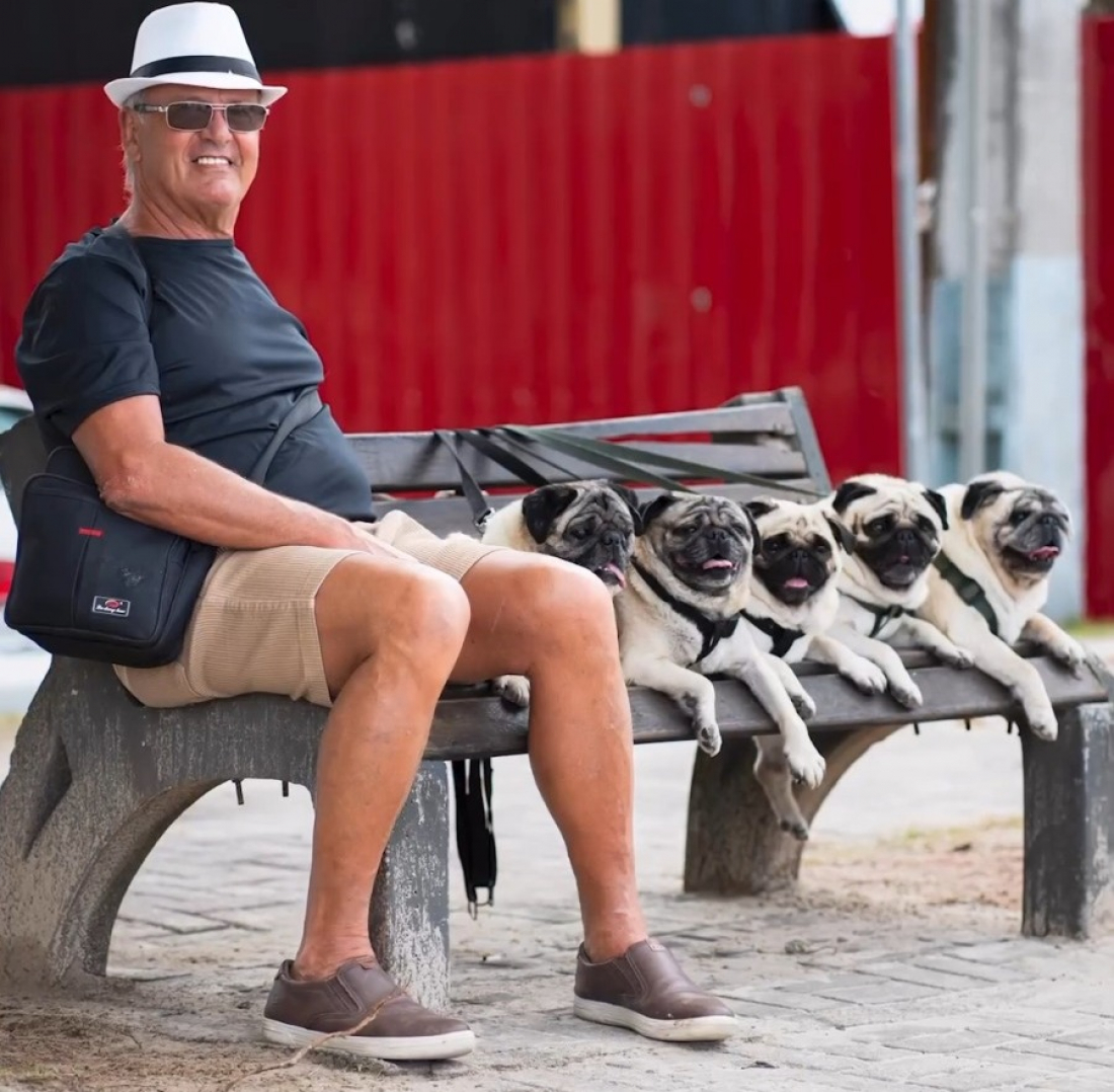 Fotógrafo encontra senhor passeando com cinco pugs e realiza sessão de fotos muito fofa em Itapema