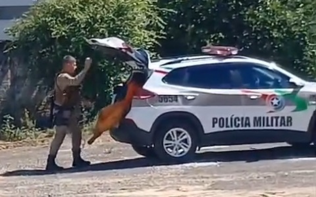 Fuga de detento gera incidente inusitado durante audiência em São Ludgero
