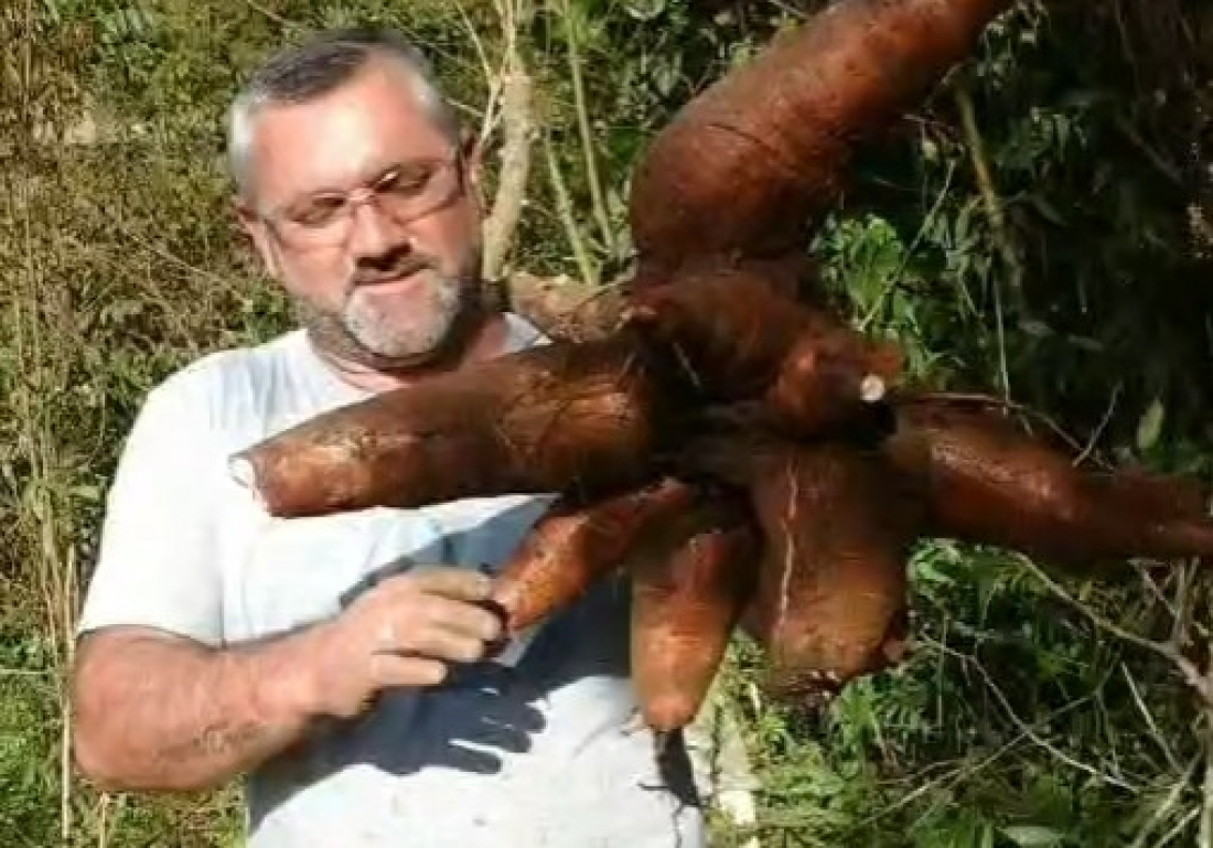 Morador de Tubarão, com família em Azambuja, viraliza com conselho em áudio