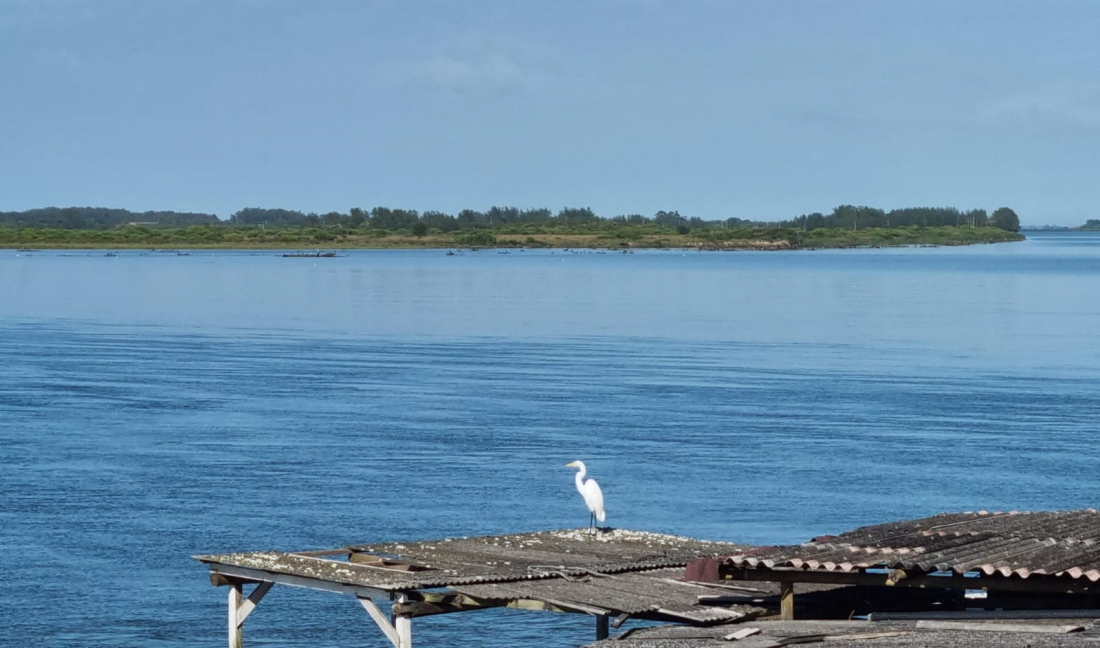 Amurel tem mínimas de 15 a 20°C e máxima de 25 a 28°C neste domingo (24)