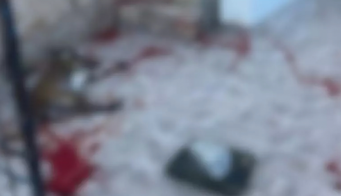 Em SC: açougueiro que matou pit bull a facadas é indiciado por maus-tratos