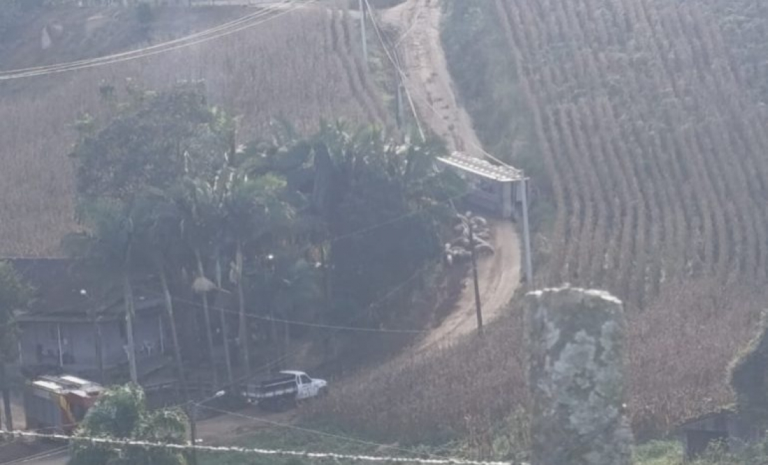 Acidente em Braço do Norte: caminhão carregado de suínos perde controle na estrada