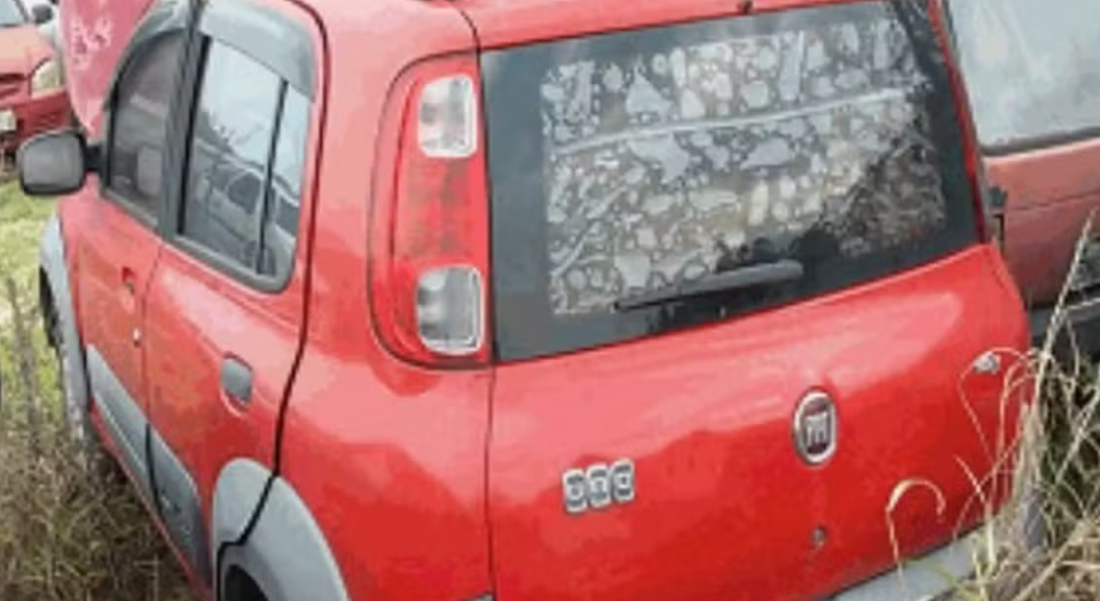 Leilão do Detran-SC oferece mais de 190 veículos; veja como participar