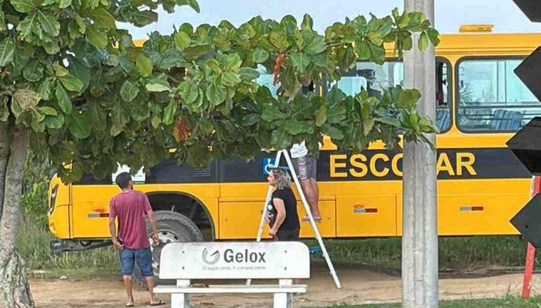 Criança é esquecida em ônibus escolar na Ponta da Barra, em Laguna
