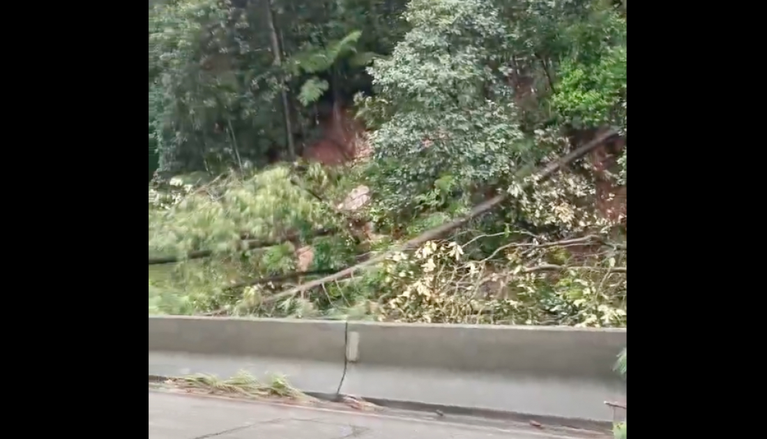 Morro dos Cavalos segue interditado e sem previsão de liberação 