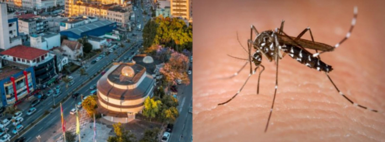 Tubarão tem 152 focos de dengue; número aumentou 21% em relação a semana pasada