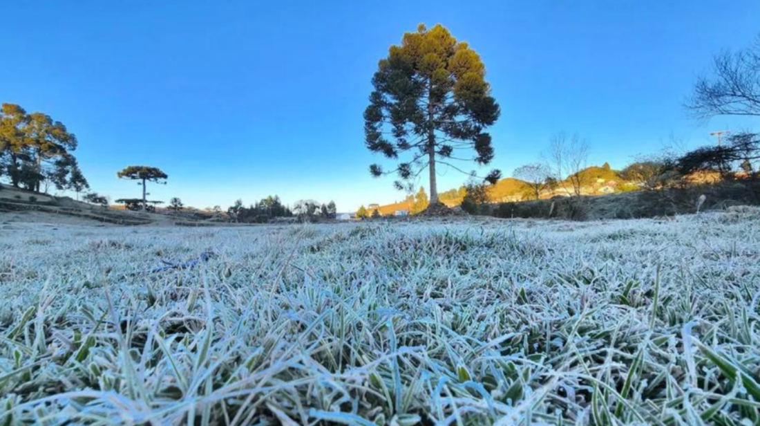 SC deve registrar menores temperaturas do ano nesta quinta com termômetros próximos dos 0°C
