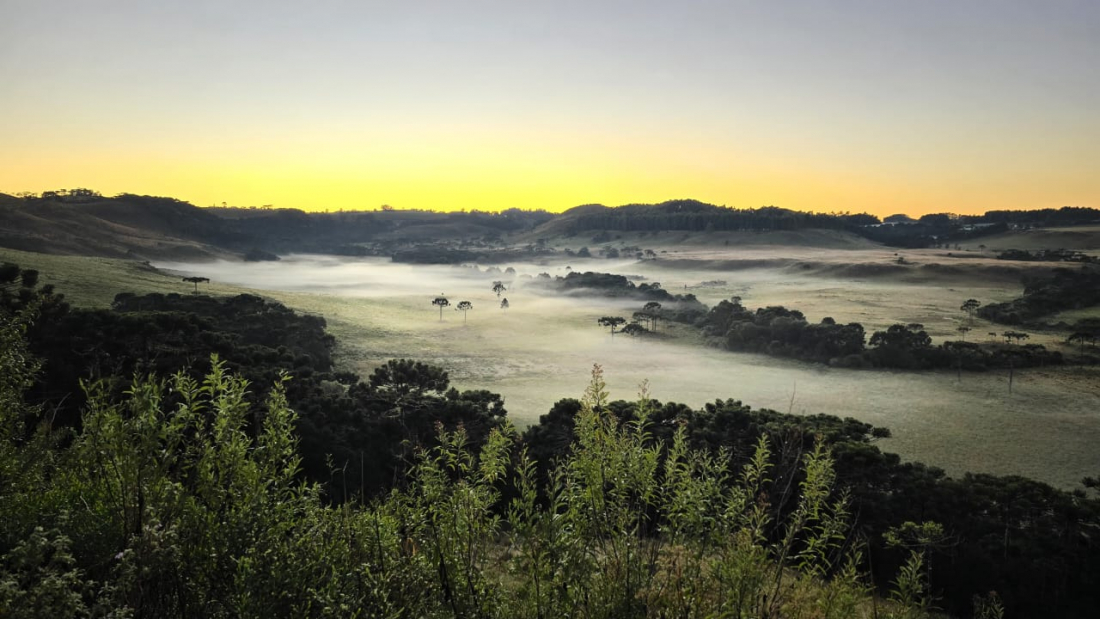 Primeira geada do ano em SC é registrada em São Joaquim, que teve mínima de 1,5ºC