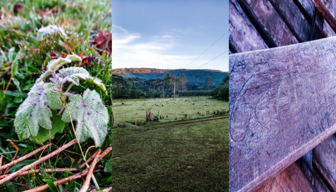 FOTOS: SC amanhece coberta de gelo e registra a menor temperatura do ano