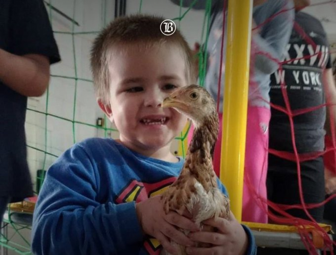 Viral: reencontro de menino com galinha em meio a cheias do RS comove web