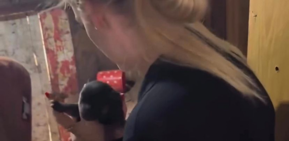 (Vídeo) Cadela e filhotes são resgatados em geladeira que ficou submersa durante enchente no RS