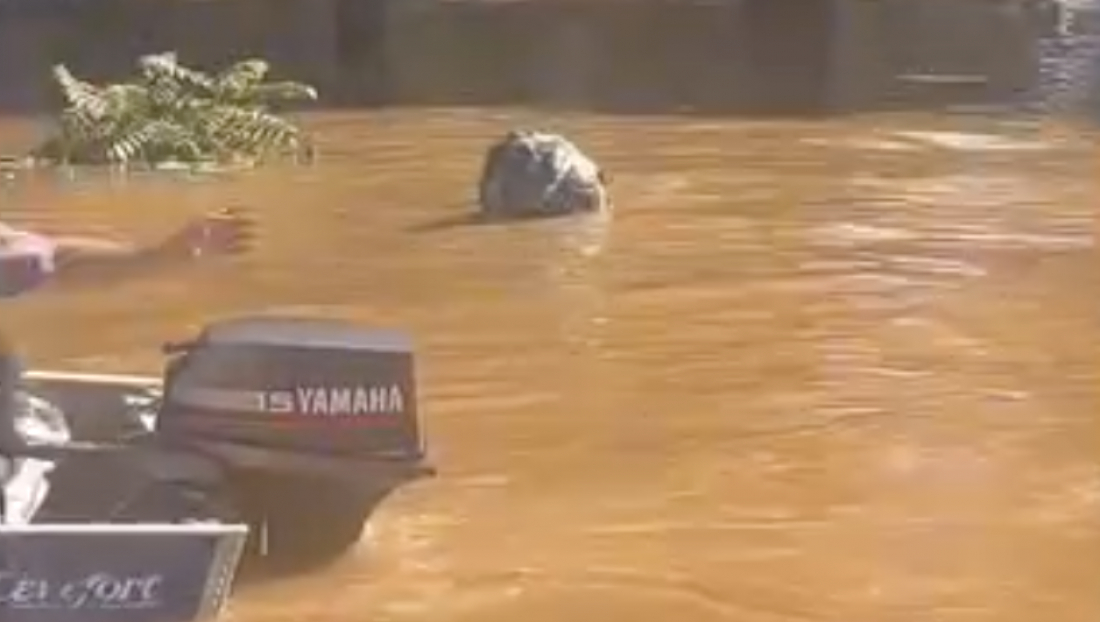 (Vídeo) Voluntários passam por saco de lixo boiando no RS; mas descobrem que tinha algo a mais