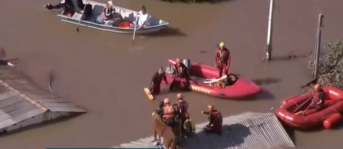 (Vídeo) Equipes se preparam para resgate do cavalo 'caramelo', ilhado no telhado