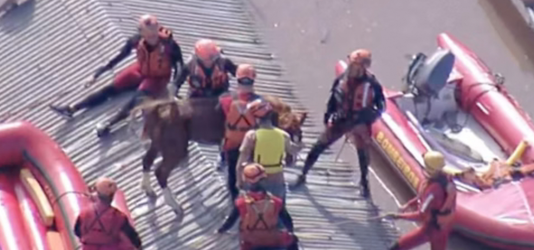 (Vídeo) Alívio! Cavalo Caramelo é resgatado após ficar ilhado em telhado no RS