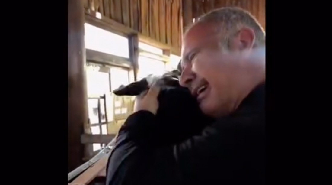 (Vídeo) Emocionante: tutor chora ao reencontrar cachorro resgatado no RS; assista