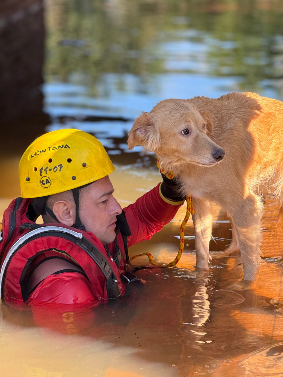 Quase 3 mil resgatados e mais de 400 animais: bombeiros de SC seguem em solo gaúcho
