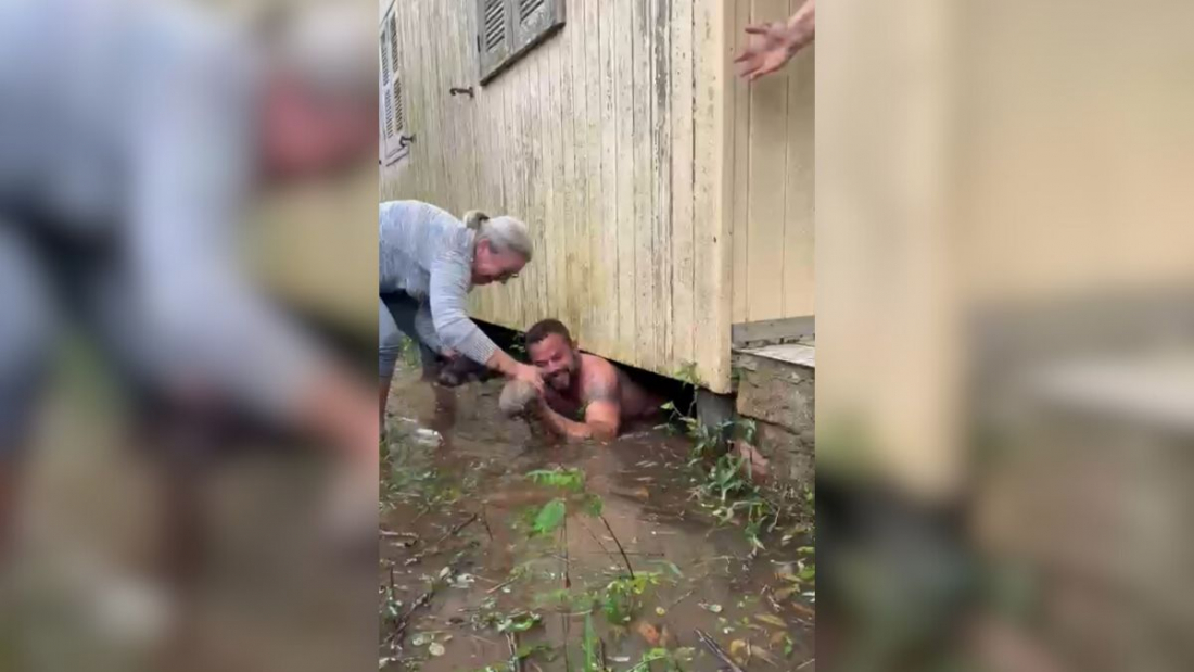 Defesa Civil resgata filhotes de cães embaixo de casa alagada no Sul de SC