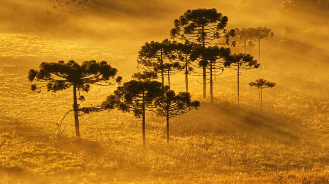 Tempo volta a ficar ensolarado, mas temperaturas despencam em Santa Catarina
