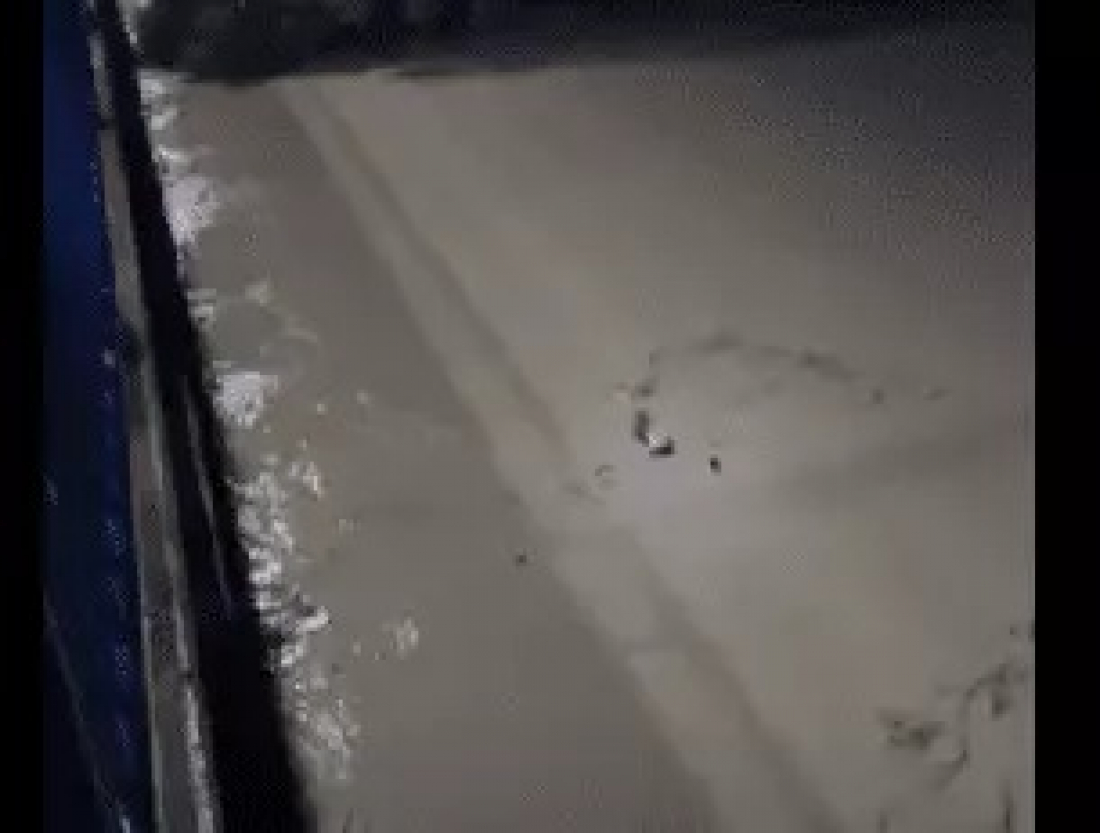 Mulher se agarra em tronco de árvore para não se afogar em Rio do Sul