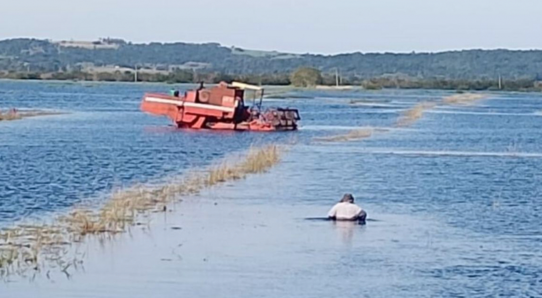 SC quer oferecer oportunidades para trabalhadores rurais afetados pelas chuvas no RS